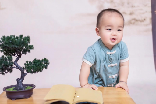 重庆可爱的企鹅宝宝